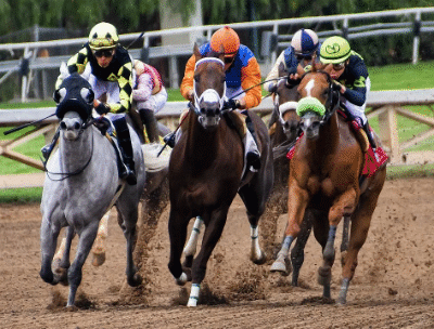 Racing in Dubai