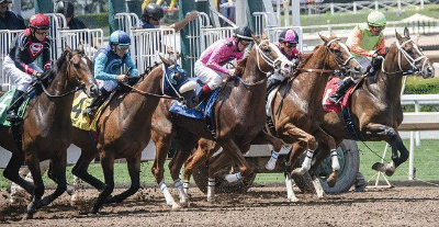 Racing in Dubai