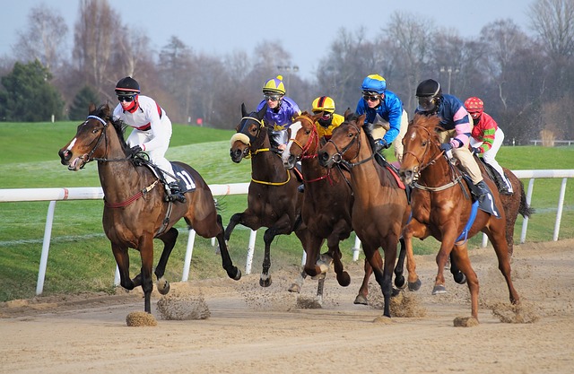 horse racing in dubai